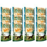 Nassfutter Dehner Best Nature Hundefutter Adult Geflügel und Ananas mit Reis