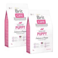 Trockenfutter Brit Care Grain-Free Salmon & Potato