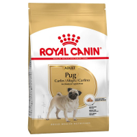 Trockenfutter Royal Canin Pug Adult