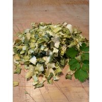 Zusatzfutter Lunderland Lauch, getrocknet